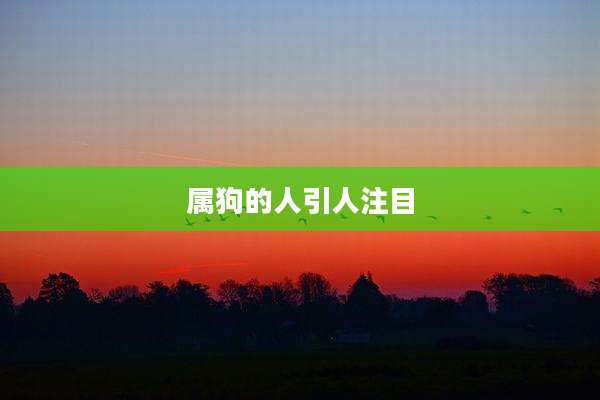 属狗的人引人注目