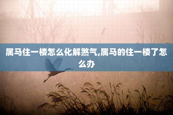 属马住一楼怎么化解煞气,属马的住一楼了怎么办