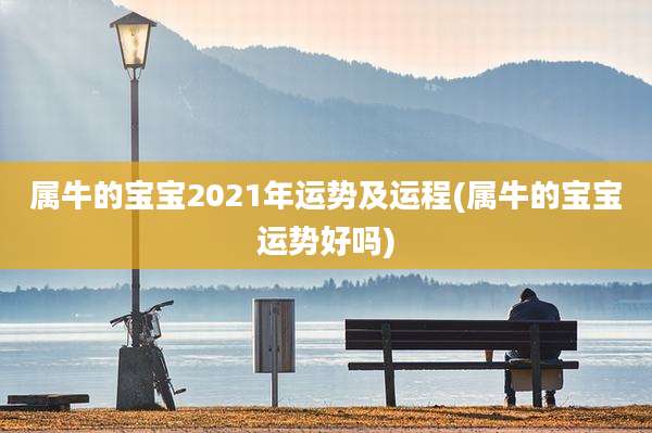 属牛的宝宝2021年运势及运程(属牛的宝宝运势好吗)