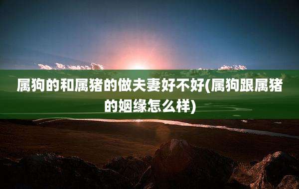 属狗的和属猪的做夫妻好不好(属狗跟属猪的姻缘怎么样)