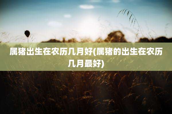 属猪出生在农历几月好(属猪的出生在农历几月最好)
