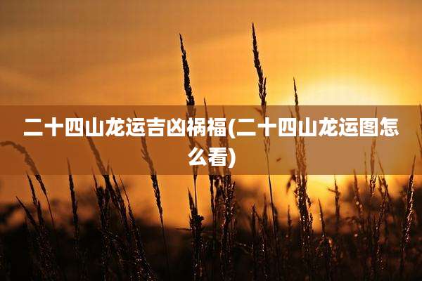 二十四山龙运吉凶祸福(二十四山龙运图怎么看)