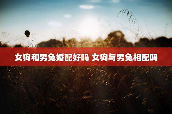 女狗和男兔婚配好吗 女狗与男兔相配吗