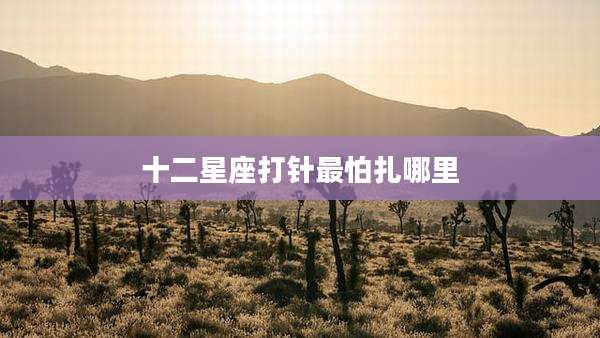 十二星座打针最怕扎哪里