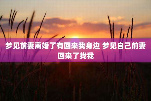 梦见前妻离婚了有回来我身边 梦见自己前妻回来了找我
