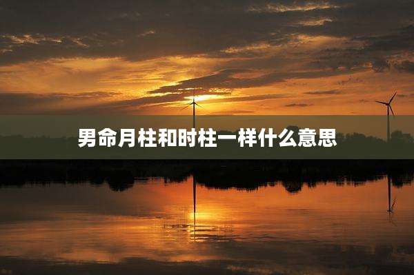男命月柱和时柱一样什么意思