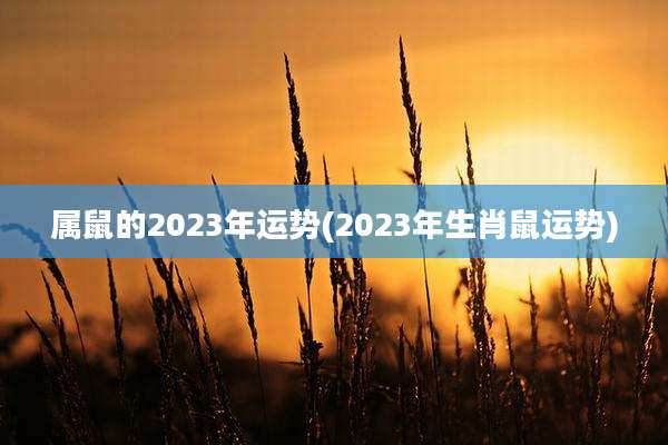 属鼠的2023年运势(2023年生肖鼠运势)