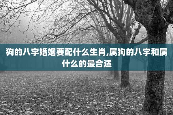 狗的八字婚姻要配什么生肖,属狗的八字和属什么的最合适