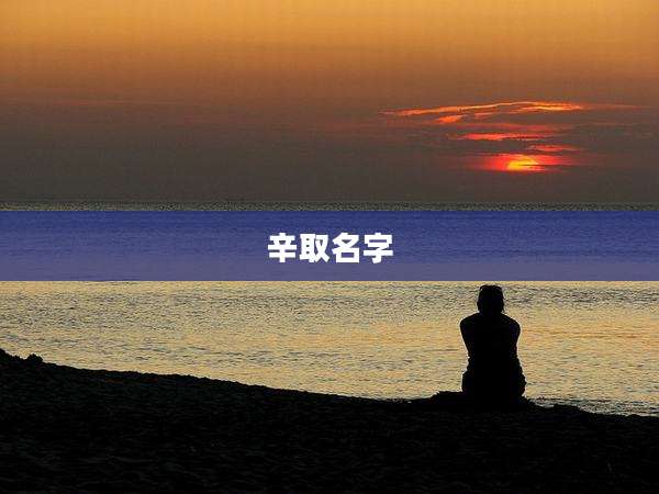辛取名字