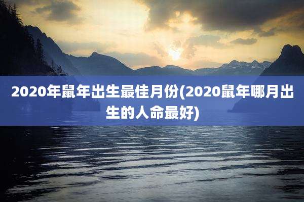2020年鼠年出生最佳月份(2020鼠年哪月出生的人命最好)