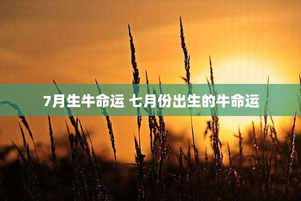 7月生牛命运 七月份出生的牛命运