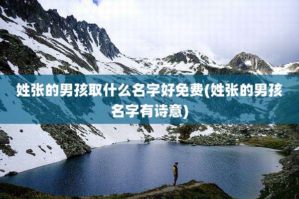姓张的男孩取什么名字好免费(姓张的男孩名字有诗意)