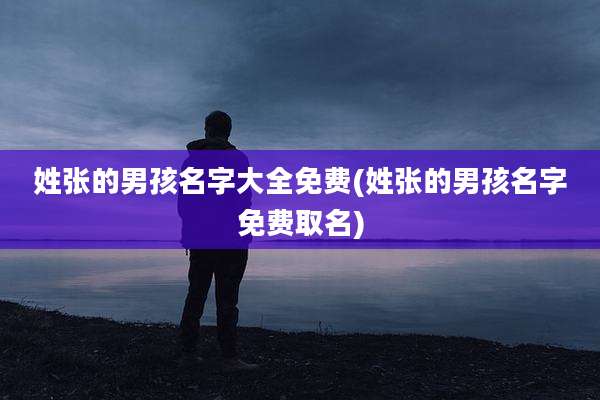 姓张的男孩名字大全免费(姓张的男孩名字免费取名)