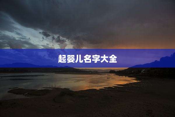 起婴儿名字大全