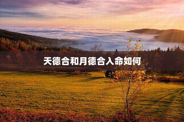 天德合和月德合入命如何