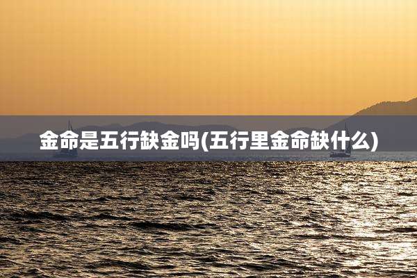 金命是五行缺金吗(五行里金命缺什么)