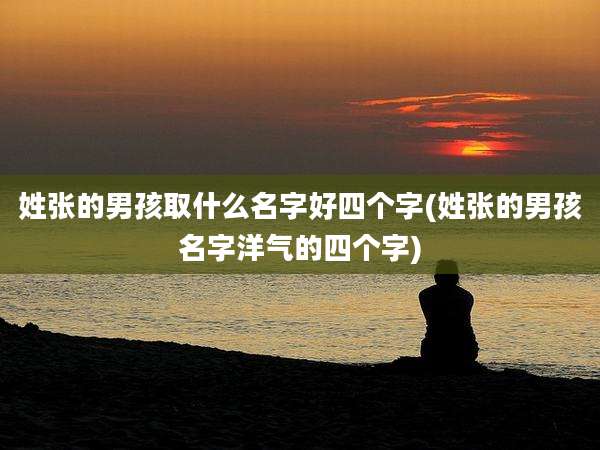 姓张的男孩取什么名字好四个字(姓张的男孩名字洋气的四个字)