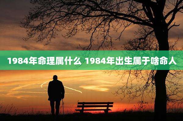 1984年命理属什么 1984年出生属于啥命人