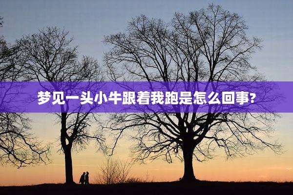 梦见一头小牛跟着我跑是怎么回事?