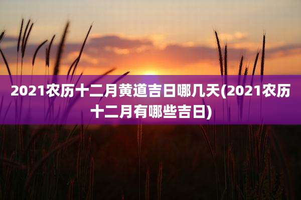 2021农历十二月黄道吉日哪几天(2021农历十二月有哪些吉日)