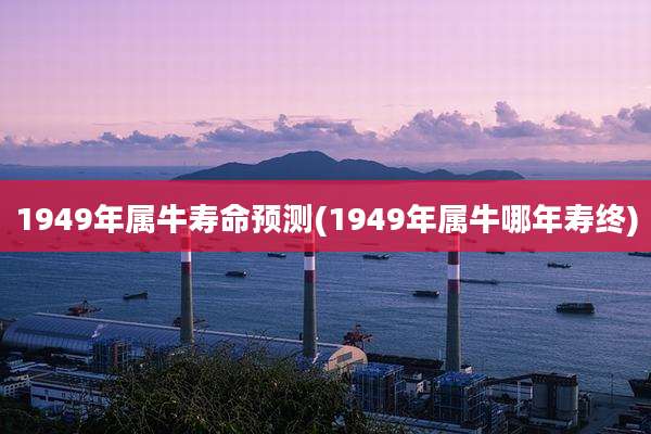 1949年属牛寿命预测(1949年属牛哪年寿终)