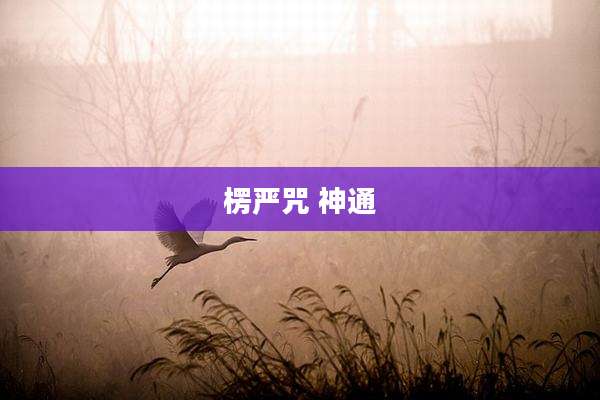 楞严咒 神通