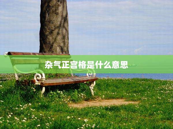 杂气正宫格是什么意思