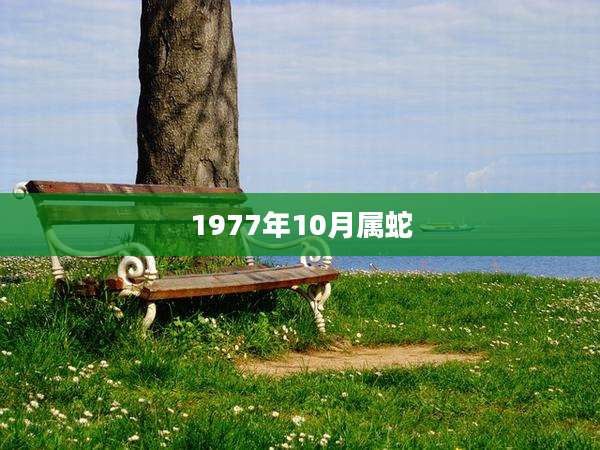 1977年10月属蛇