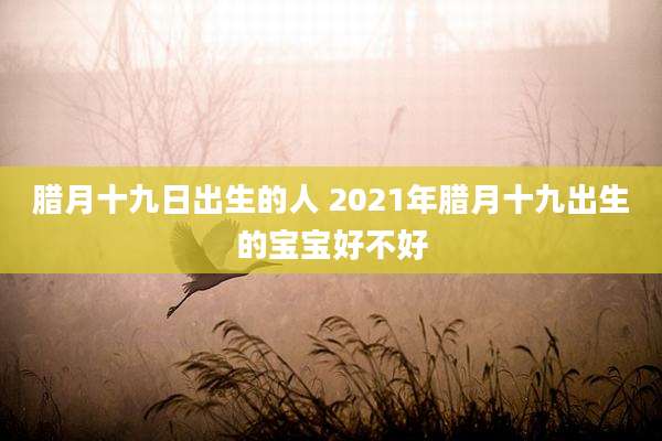 腊月十九日出生的人 2021年腊月十九出生的宝宝好不好