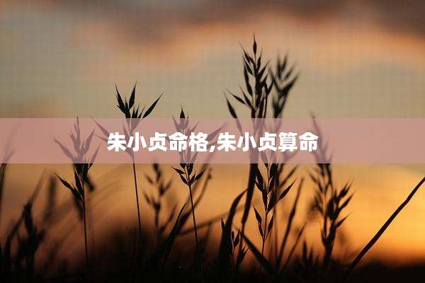 朱小贞命格,朱小贞算命