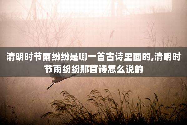 清明时节雨纷纷是哪一首古诗里面的,清明时节雨纷纷那首诗怎么说的