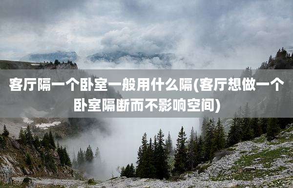 客厅隔一个卧室一般用什么隔(客厅想做一个卧室隔断而不影响空间)