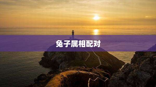 兔子属相配对