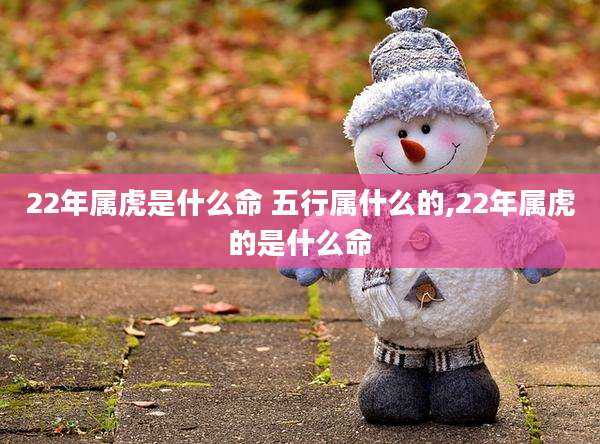 22年属虎是什么命 五行属什么的,22年属虎的是什么命