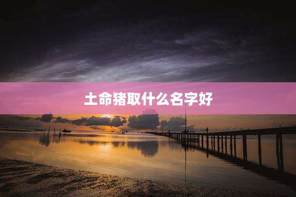 土命猪取什么名字好