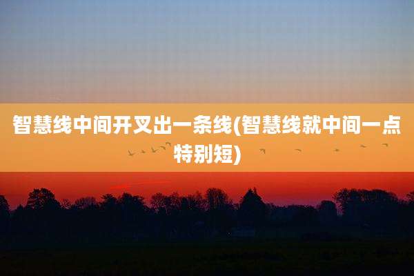 智慧线中间开叉出一条线(智慧线就中间一点特别短)