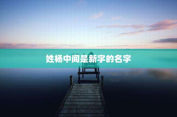 姓杨中间是新字的名字