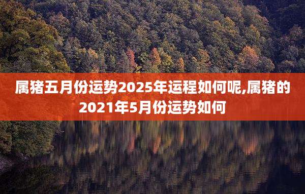 属猪五月份运势2025年运程如何呢,属猪的2021年5月份运势如何