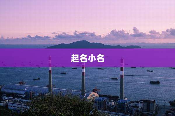 起名小名