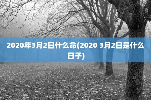 2020年3月2日什么命(2020 3月2日是什么日子)