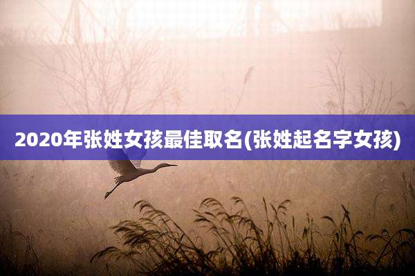 2020年张姓女孩最佳取名(张姓起名字女孩)