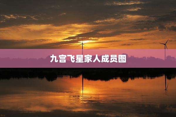 九宫飞星家人成员图
