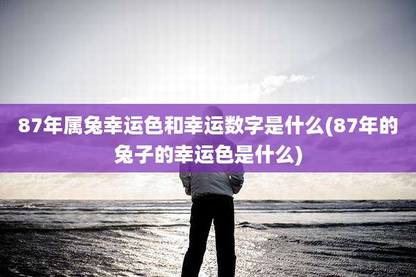 87年属兔幸运色和幸运数字是什么(87年的兔子的幸运色是什么)