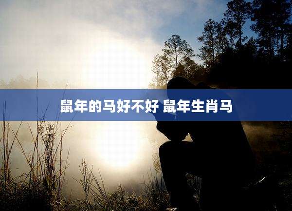 鼠年的马好不好 鼠年生肖马