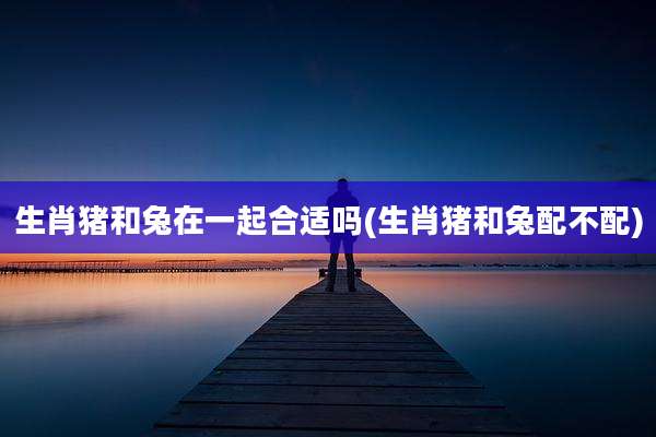 生肖猪和兔在一起合适吗(生肖猪和兔配不配)