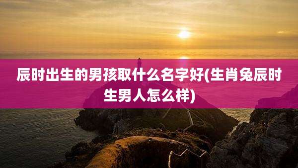 辰时出生的男孩取什么名字好(生肖兔辰时生男人怎么样)