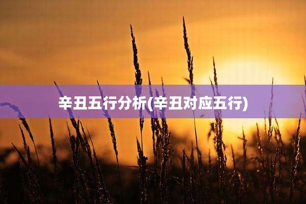 辛丑五行分析(辛丑对应五行)