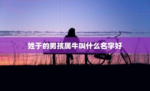 姓于的男孩属牛叫什么名字好