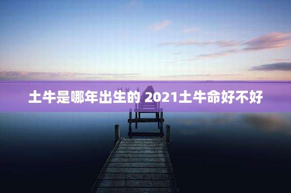 土牛是哪年出生的 2021土牛命好不好