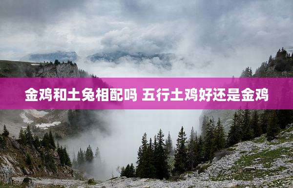 金鸡和土兔相配吗 五行土鸡好还是金鸡